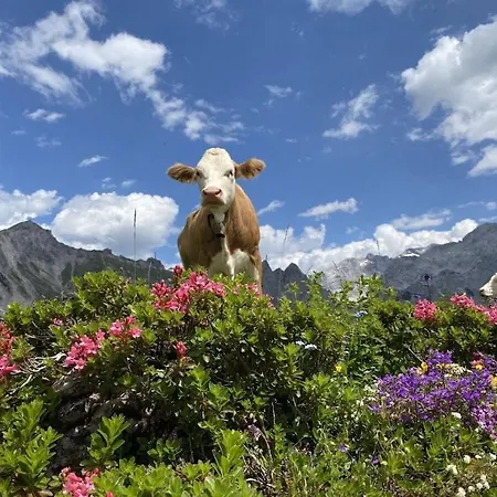 With 2 Bedrooms Ramsau am Dachstein