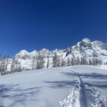 With 2 Bedrooms Holiday home